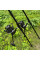 Набор для карповой рыбалки на два удилища Fishing ROI Mirage 3.5Lb Black