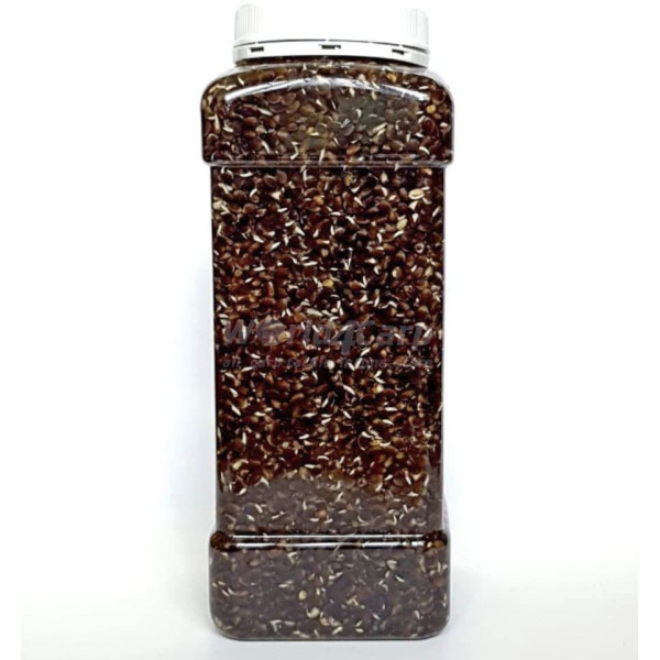 Готова конопля для риболовлі World4Carp Hemp Seed 1 л — розпарене зерно прикормка для коропа, амура, білої риби