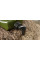 Канистра для воды RidgeMonkey Heavy Duty Water Carrier 15л