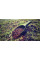 Лопатка RidgeMonkey Bait Spoon Green