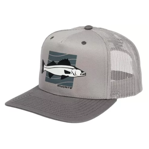 Кепка Favorite Zander 58 Gray