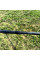 Коропове вудилище Flagman Magic Carp 3.3м 3lb