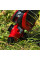 Катушка Flagman RedFire 2000S, спиннинговая, 5+1 подшипников, графитовый корпус, Anti-Twist, алюминиевая шпуля