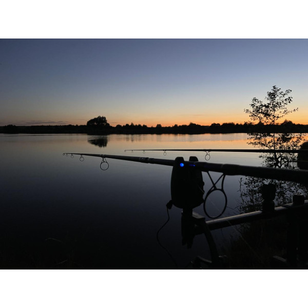 Сигнализатор поклёвки Carp Pro Delight электронный, влагозащищённый, с подключением к ресиверу и свингеру