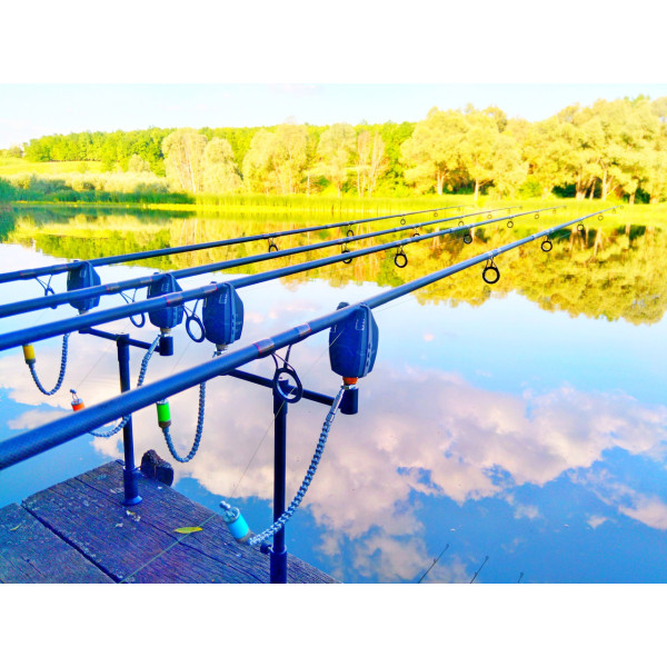 Набір стійок і буз барів World4Carp Stand Kit Universal MAX 4