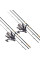 Набор для карпфишинга на два удилища BratFishing ASPID Carp + катушки Flagman Magnum CARP Feeder 6000