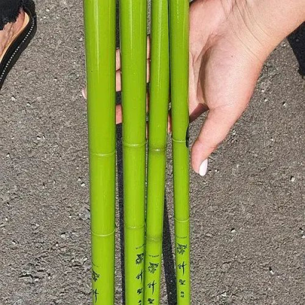 Удилище Bamboo Jocker Pole 4,5м