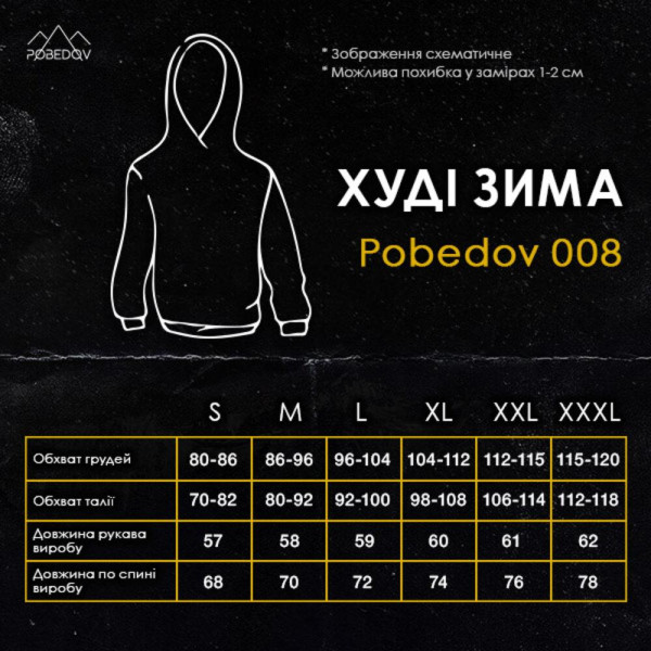 Худі чоловіче зимове Pobedov 008, зима сталевий, на флісі, з капюшоном, вовна