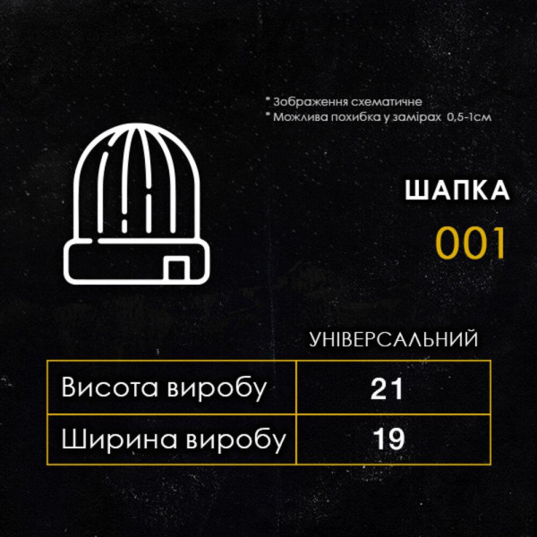 Шапка чоловіча Pobedov 001, білий