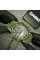 Чоловічий годинник Casio AQ-S810W-3A спортивний зелений 10 ATM