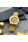 Мужские механические часы Skrox 7049 Gold с автоподзаводом