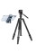 Штатив Vanguard Vesta Go 234CV10 (Vesta Go 234CV10)