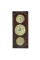 Метеостанція Moller 203050 Walnut