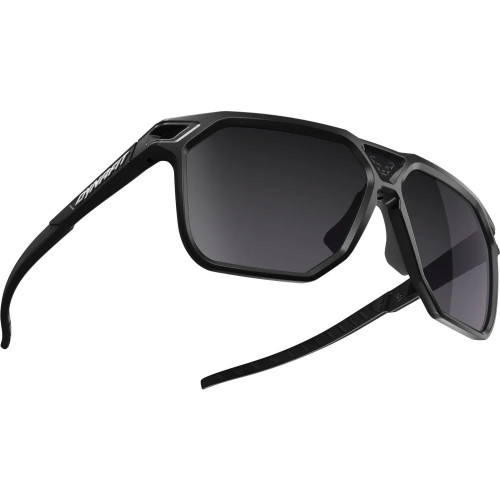 Окуляри Dynafit Traverse Sunglasses