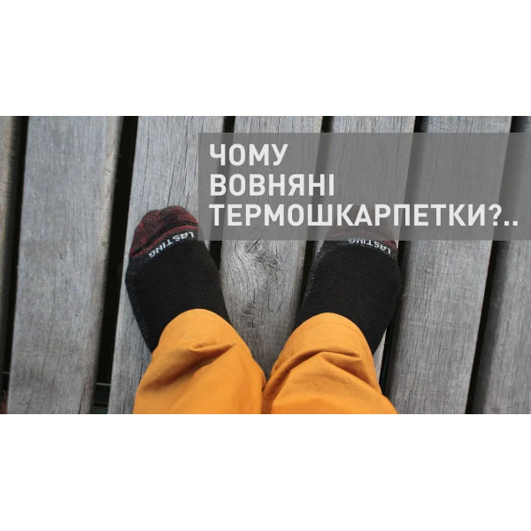 Шкарпетки Lasting WLS, коричневий