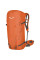 Рюкзак Salewa Orttles Wall 38
