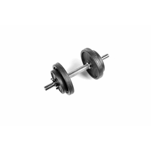 Гантеля розбірна металева RN-Sport 8.5 кг