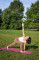 Килимок для йоги та фітнесу PowerPlay 4010 PVC Yoga Mat Рожевий (173x61x0.6)