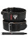 Пояс для пауерліфтингу RDX RD1 шкіряний Black XL