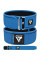 Пояс для важкої атлетики RDX RX1 Weight Lifting Belt BLUE-XL