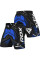 Шорти для MMA RDX MSS-IMF схвалені IMMAF Blue S