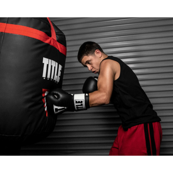 Боксерські рукавиці TITLE Premier Leather Black/White L 14 oz.