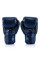Боксерські рукавиці Fairtex BGV1-ONE (натуральна шкіра) Blue 12 унцій (бинти в комплекті)