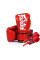 Боксерські рукавиці Fairtex BGV14 Red 14 унцій (бинти в комплекті)