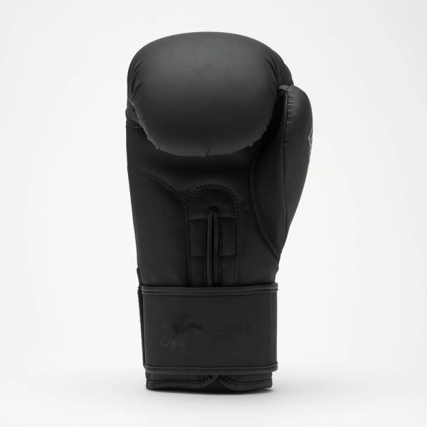 Боксерські рукавиці Leone GN058 TONE X Black 14 унцій