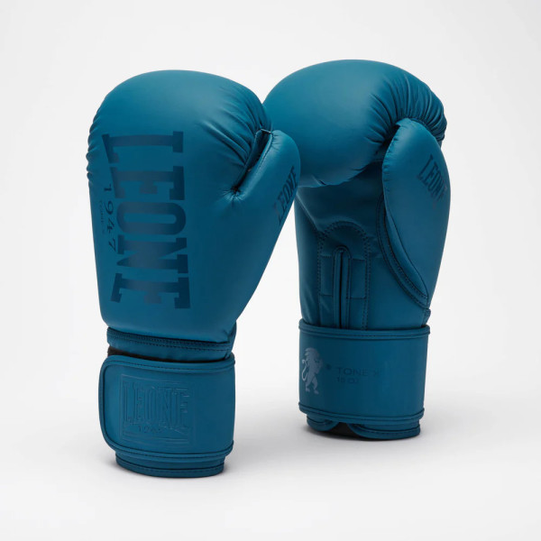 Боксерські рукавиці Leone GN058 TONE X Teal 10 унцій