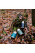 Термос Tribe Food Jar харчовий 0,45 л T-DE-0022, blue