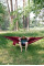 Гамак Tribe Hammock T-LE-0002-bordo