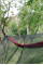 Сітка антимоскітна для гамака Tribe Hammock Mesh T-LE-0014-black