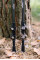 Палиці для скандинавської ходьби Tribe Nordic Pole Carbon T-ME-0023-white